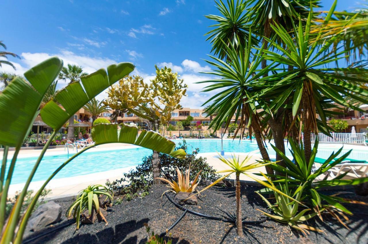 Alicebungalowpoolview-Summer Corralejo Kültér fotó