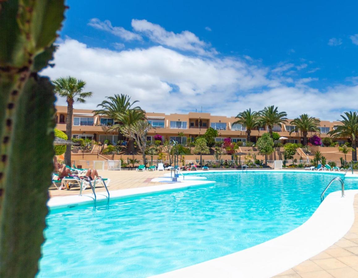 Alicebungalowpoolview-Summer Corralejo Kültér fotó